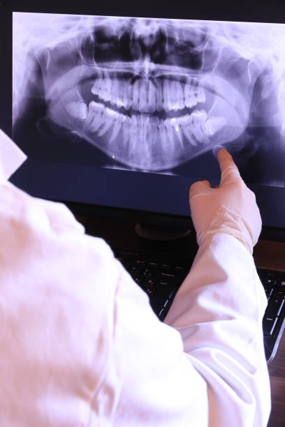 Best Emergency X-Rays and Diagnostics in Arcola, VA